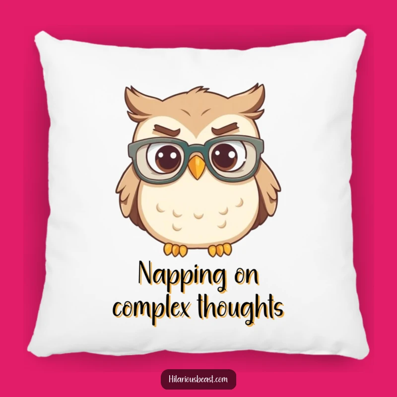 Funny Confused Owl Pillow - Comfy & Hilarious Accent for Any Room